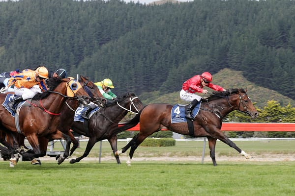 Ferrando 2yo shows early promise