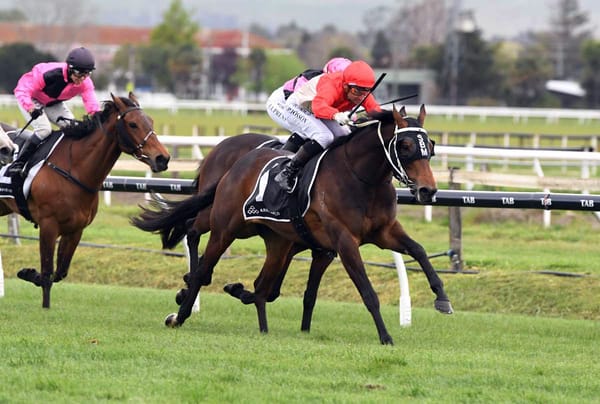 Financier delivers a return