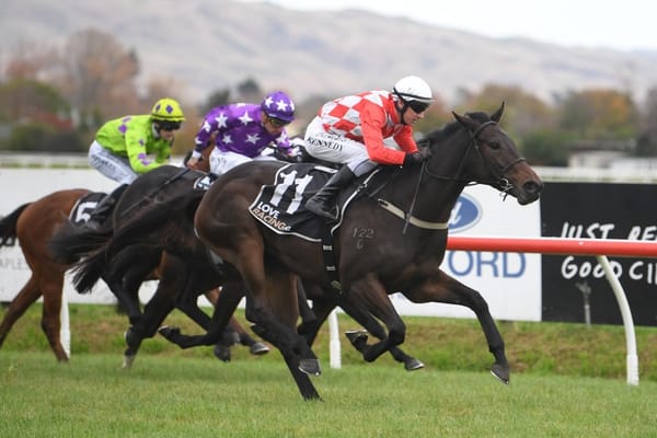 Stablemates on trial for Group One features