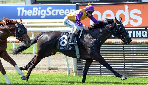 Rhino continues stable's charge