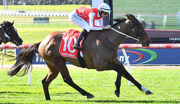 Snow Patrol faces tough draw in Group Three