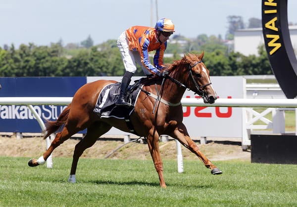 Another potential star for Te Akau