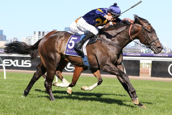 Ryan's Guineas call a no-brainer