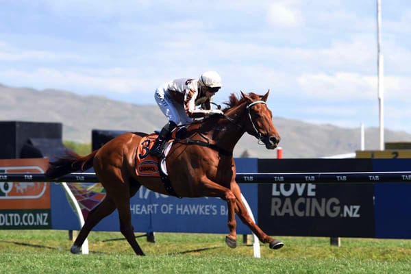 Adam continues his million-dollar journey at Hastings