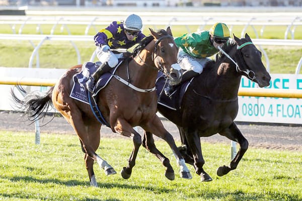 Capo Dell Impero building towards carnival