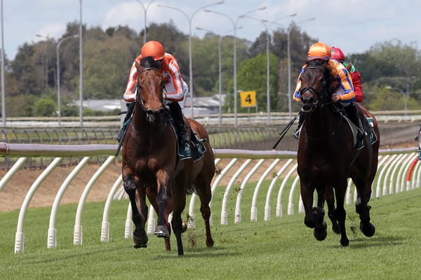 Desert Lightning makes impressive return