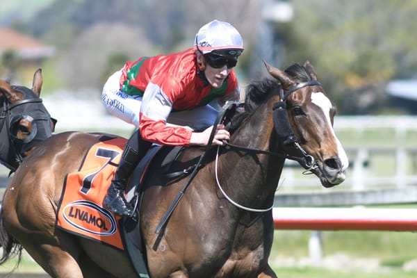 Our Alley Cat primed for Group Two test