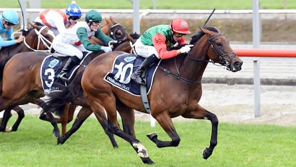 Petrucci makes stylish return