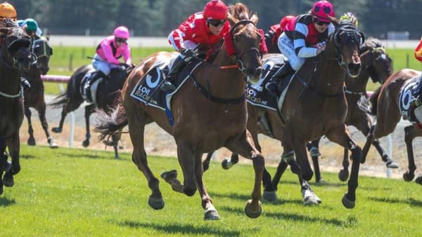 Pitmans looking to secure further Southern Alps spots