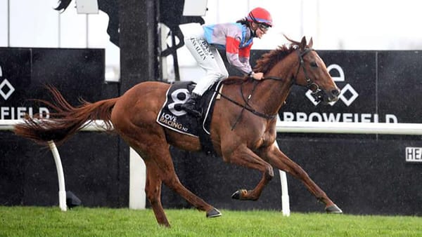 Semper Magico relishes wet conditions