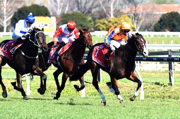 Tokyo Tycoon out of Guineas