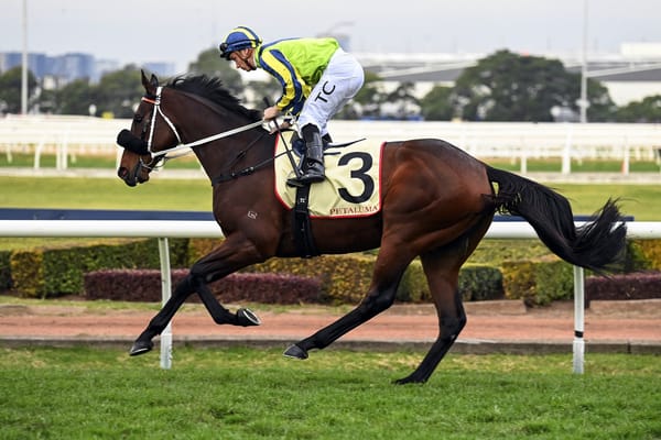 Kalapour faces last chance to gain Cup start