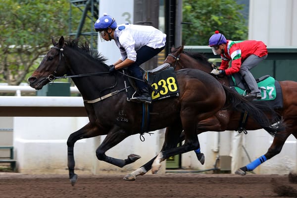 ‘Amazing’ Golden Sixty limbers up as Vincent Ho returns to action