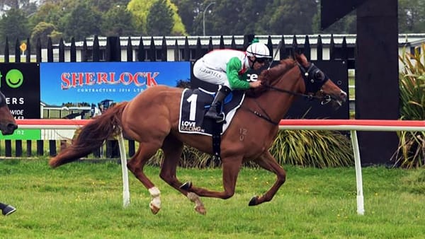 Busy Saturday ahead for Forsman