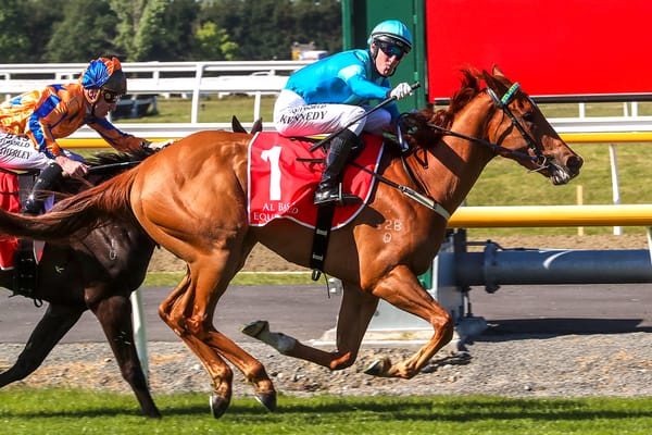 Crocetti confirms superstar quality in 2000 Guineas