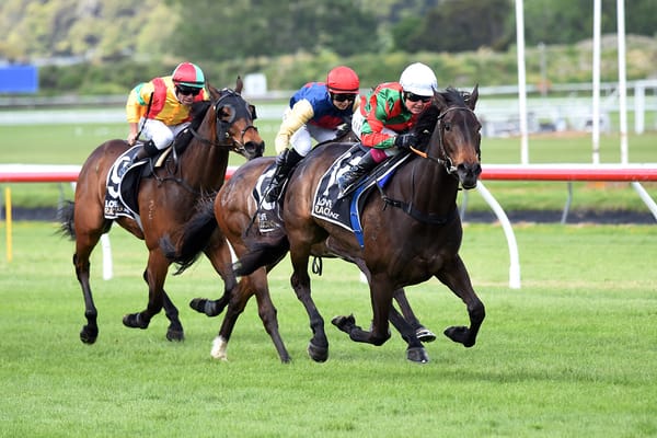 Faraglioni set to tackle Group Two test
