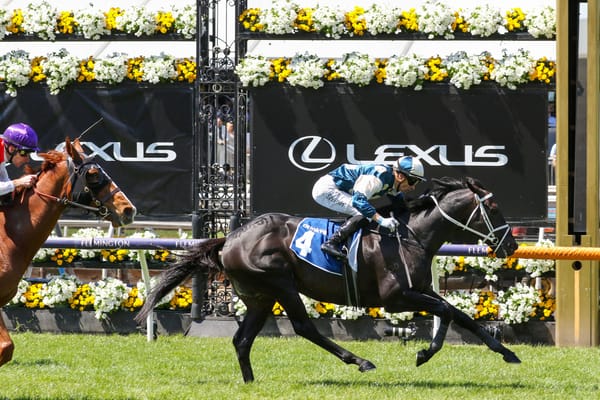 Strong stakes victory for Forgot You