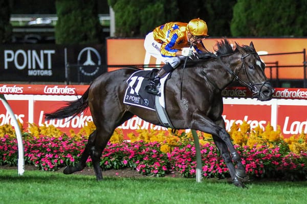 Imperatriz gallop gets green light
