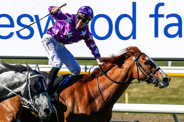 Mahrajaan takes out NZ Cup