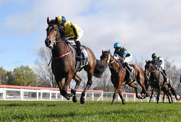 Wexford fillies blooming