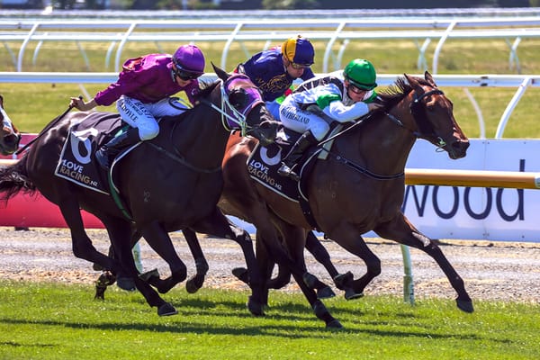 Not Guilty no longer a bridesmaid