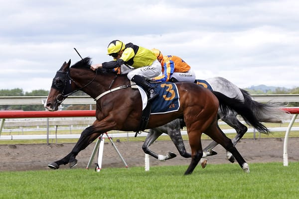 One Bold Cat takes out Counties Cup