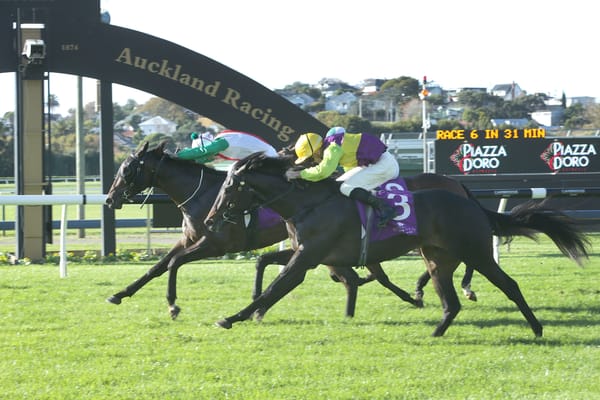Stakes winner thriving in southern stable