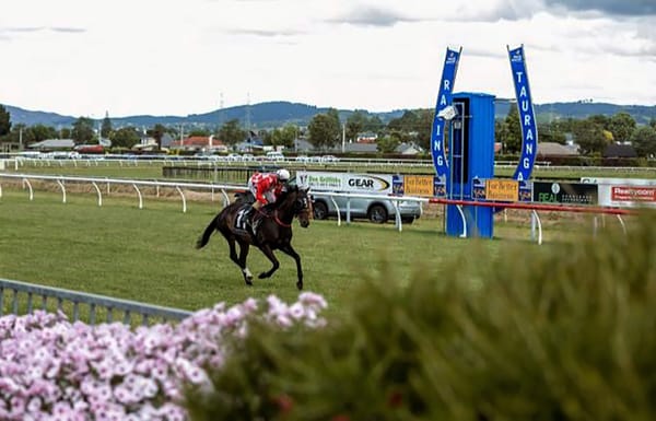Racing Tauranga celebrate 150 years