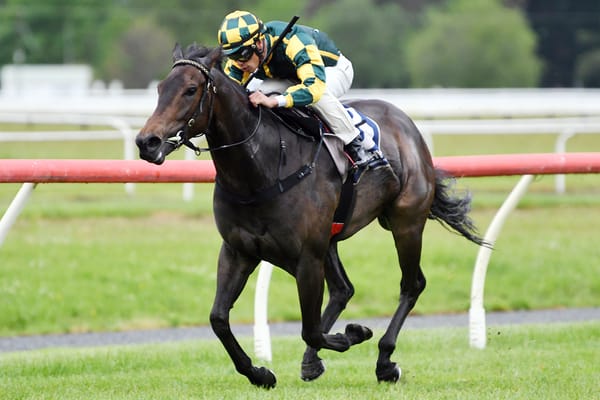 Tonia’s Dragon clears maiden ranks
