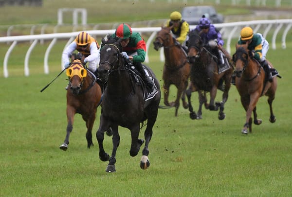 Uderzo wins comfortably at Tauranga
