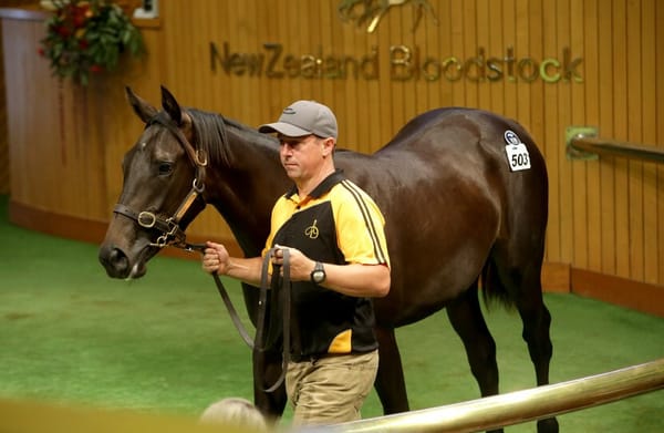Cream of the Crop Catalogued for Karaka 2024