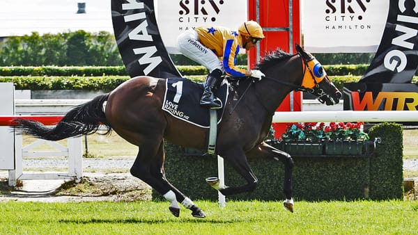 Busy Christmas ahead for Te Akau