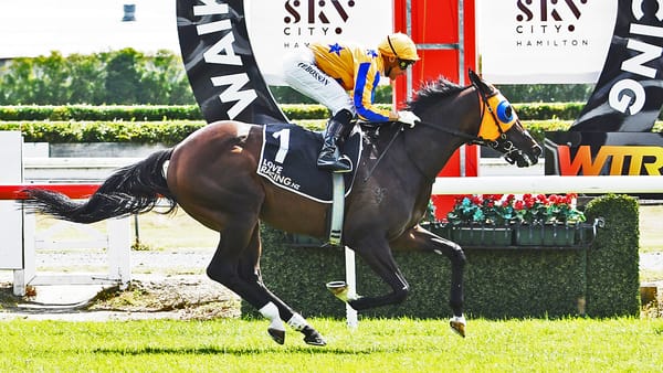 Group Two win sets Campionessa up for Group One goal