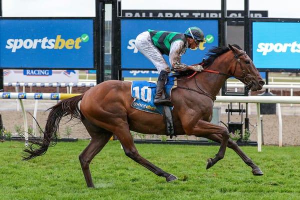 Captain Envious goes to a new level in Ballarat Cup