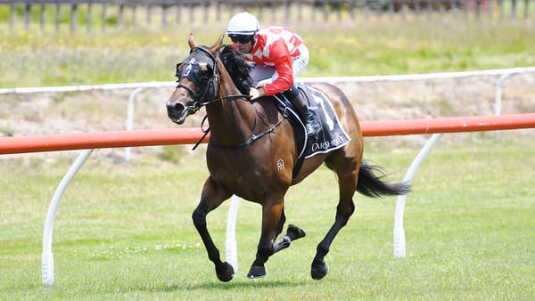 Hasstobeawinner a winner