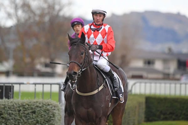 Kingsclere has strong hand for Boxing Day