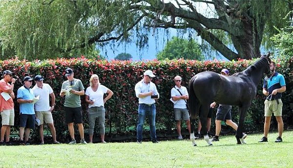 STUART HALE MEMORIAL YEARLING TOUR 2024       January 7th - 12th 2024