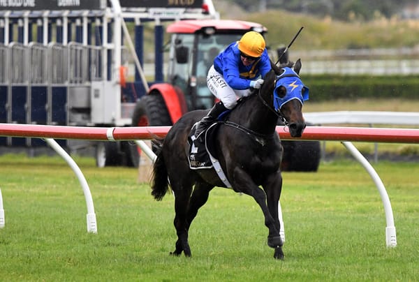 Sagunto scores back-to-back Manawatu Cups