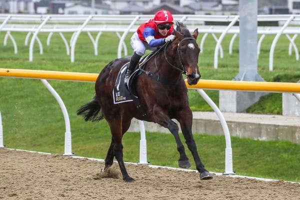 Parsons team ready for Wingatui