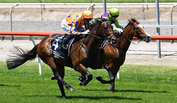 Te Akau gelding ascends on Derby path