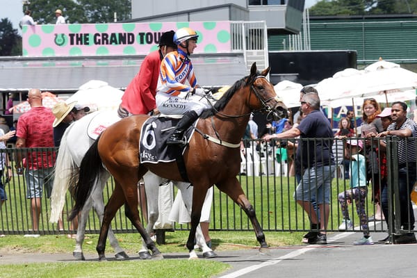 Kiwi star set for Aussie debut