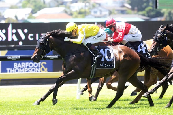 Bonny Lass looking for reversal in Telegraph