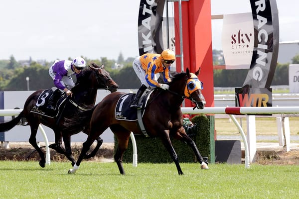 Reinvigorated Campionessa ready for Group One test