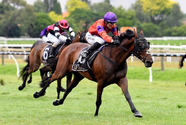 Canheroc looking to add to Cups haul