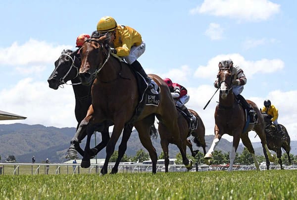 Fashion Icon seeking black-type at Trentham