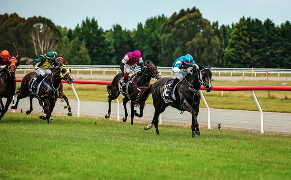 Turner to be represented by first stakes runner
