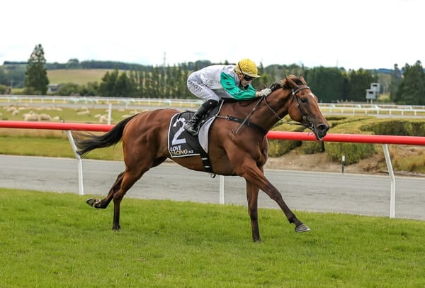 Humbucker gets sentimental win in Gore Cup
