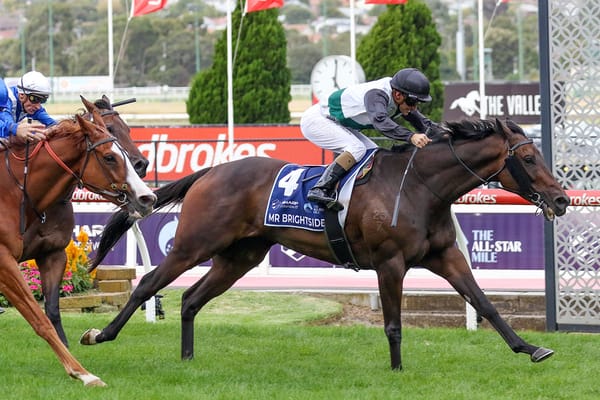 Mr Brightside scores ASM wild card
