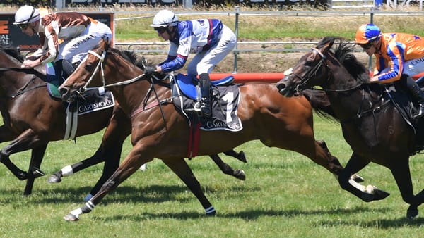 Skyman pleases in Tauranga trial