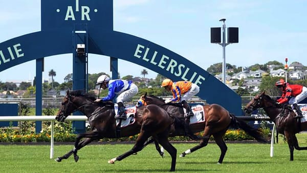 So Naïve takes out Karaka Millions dress rehersal